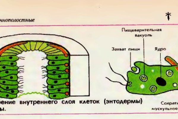 Kraken ссылка тор 2krnk biz kraken17ate pro