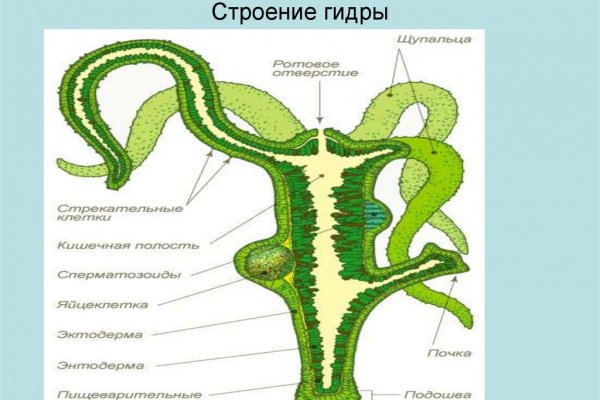 Vk5 at kraken